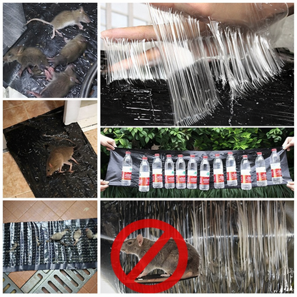 🐭Professional sticky mouse trap – Extra large size for faster capture speed