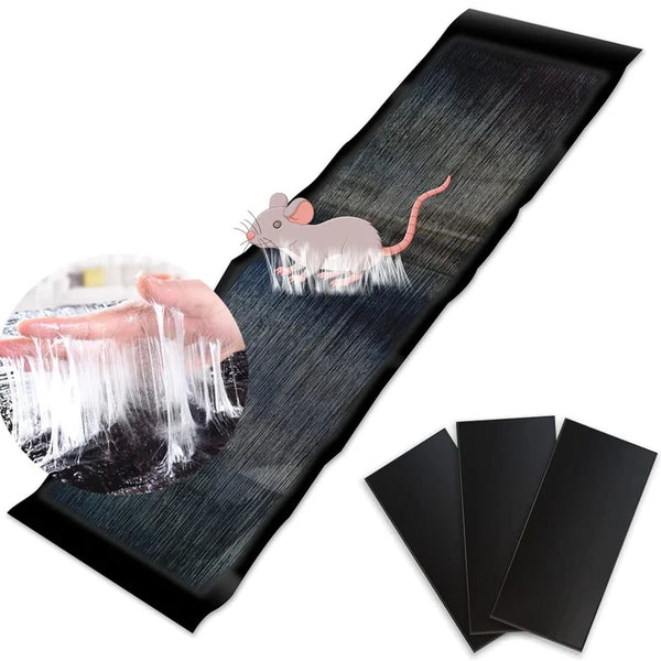 🪤 Mouse Trap – Hygienic & Effective Pest Control | Touchless – Buy 1, Get 1 Free