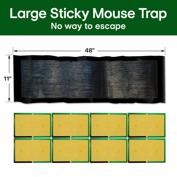🪤 Mouse Trap – Hygienic & Effective Pest Control | Touchless – Buy 1, Get 1 Free